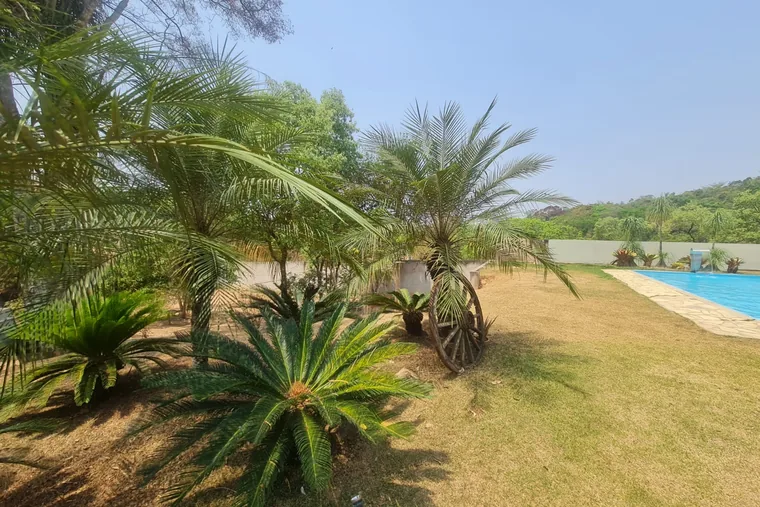 Clínica de reabilitação em Ribeirão das Neves - MG Jardim com plantas e piscina, em unidade de acolhimento da rede em Minas Gerais
